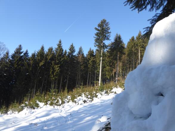 Abstieg nach Kager