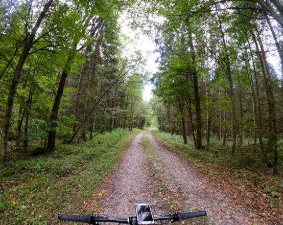 Durch den Wald entlang des Teufelsgrabens