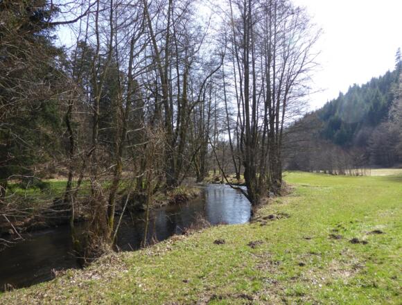 Die Wiesent