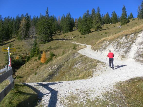 Weg zur Seewaldhütte