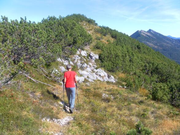 Wildalphorn vor Sonntagshorn