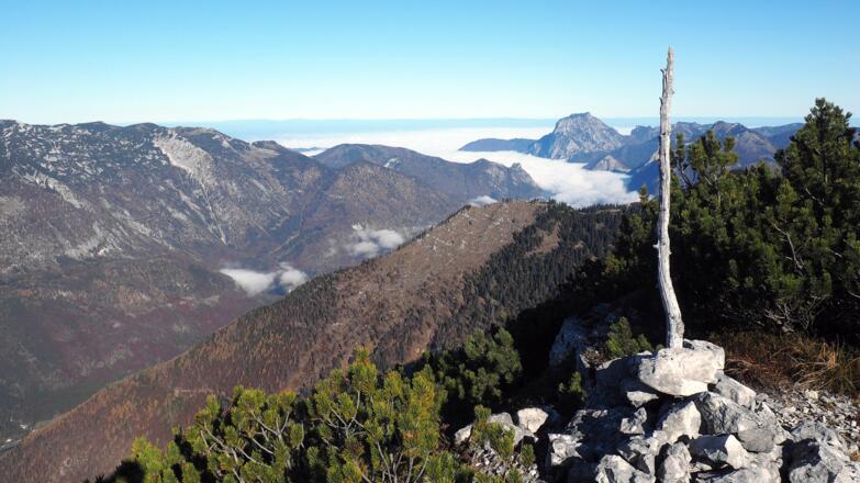 Gipfelstange Mittagkogel 1790m