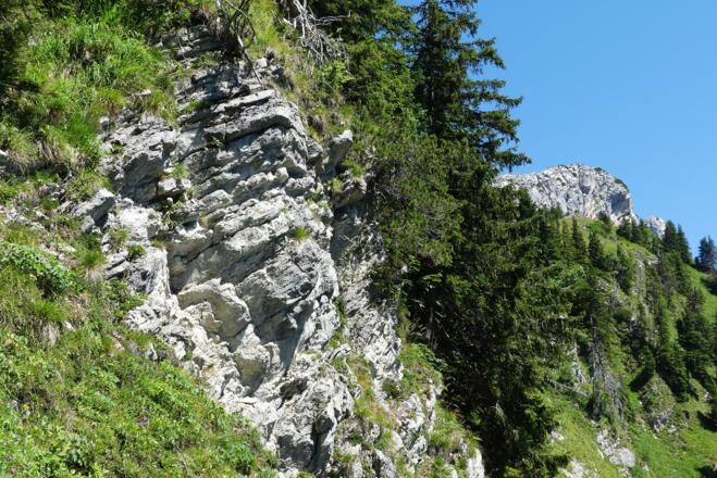 Dünnbankige Kalksteine des Alpinen Muschelkalks