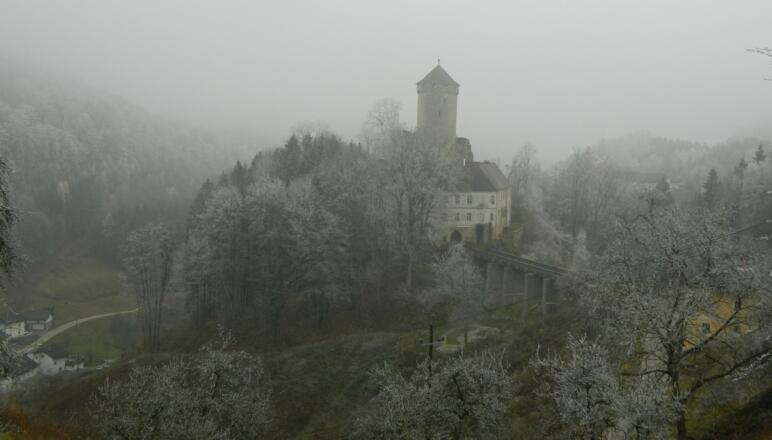 Burg- Schloss- Ruine Wildberg