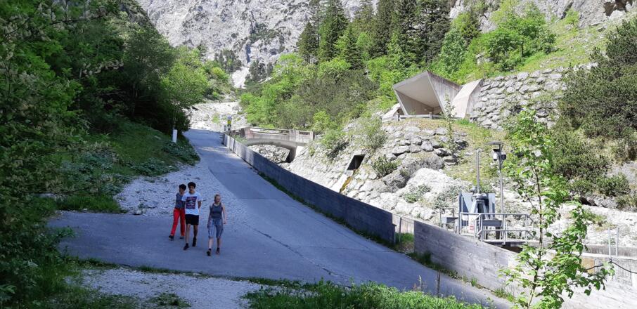 Bei der Wasserfassung endet der Steig. Auf der Halltalstraße (Fahrverbot) weiter talauswärts ...