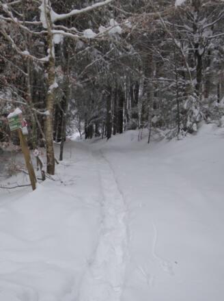 Waldpfad nach Loderhart