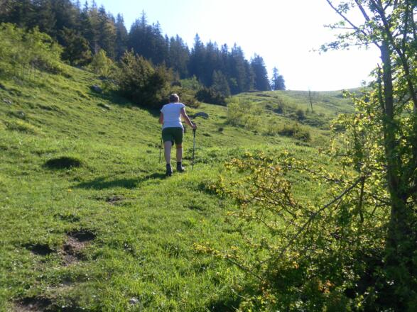 Mulde zum Wiesensattel