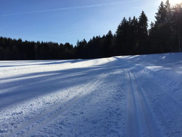 Ein einziger kleiner Hügel, bei der kurzen Runde.