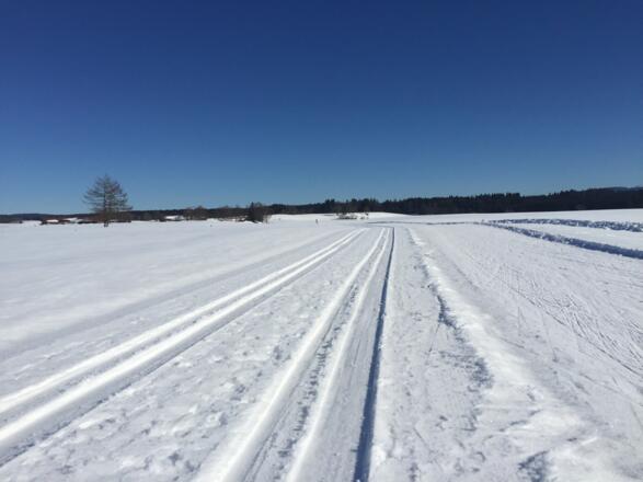 Beim Sportplatz Sachsenkam
