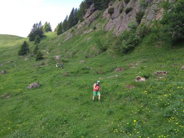 An der Südseite des Kammes