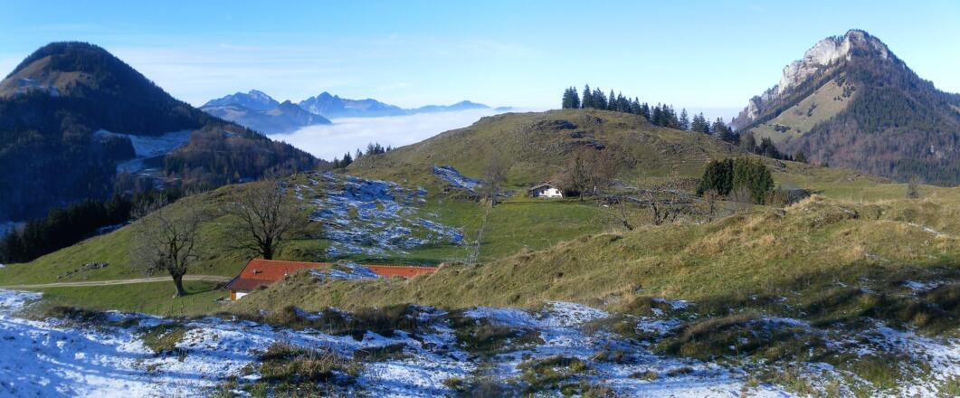 Pasteralm zwischen Kranzhorn und Kitzstein/Heuberg