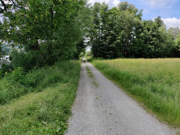 Passau - Radweg an der Donau