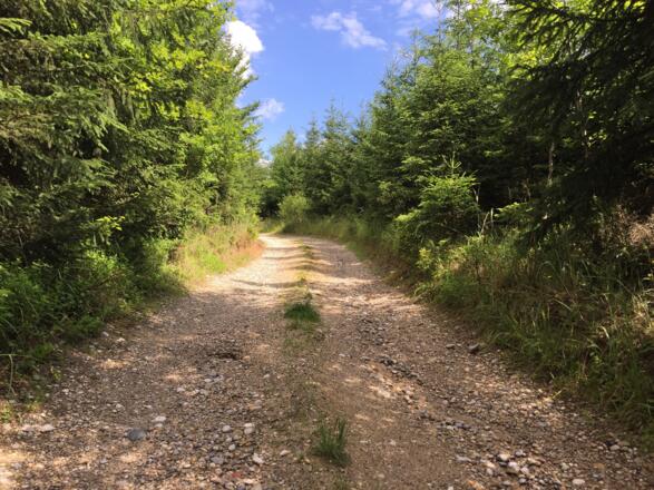 Sittenbach Richtung Langengern