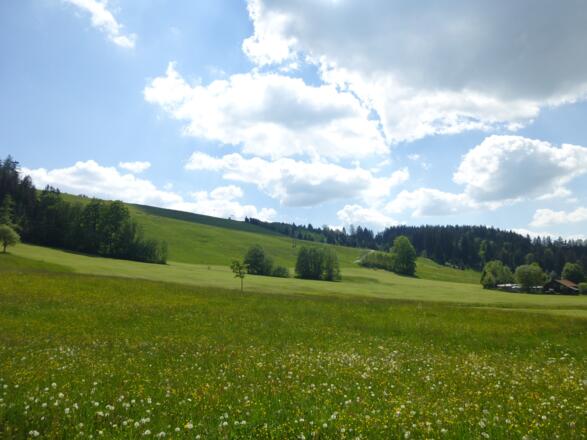 Zurück am Parkplatz Thalerhöhe