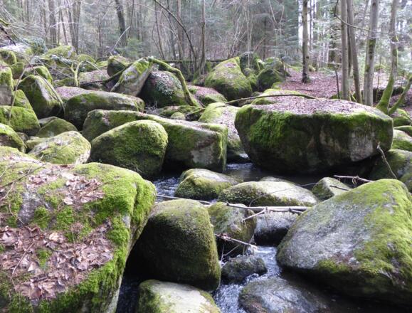 Naturschutzgebiet "Hölle"