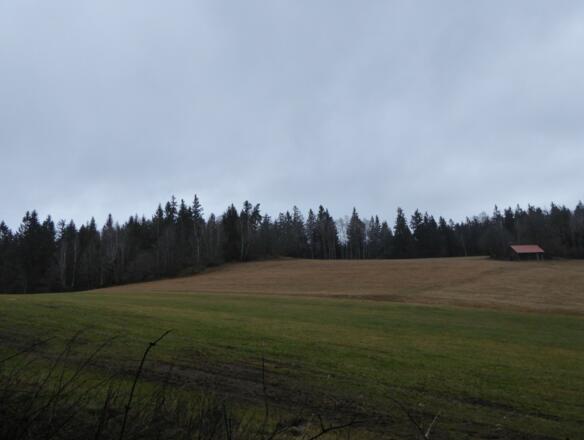 Zellerhöhe