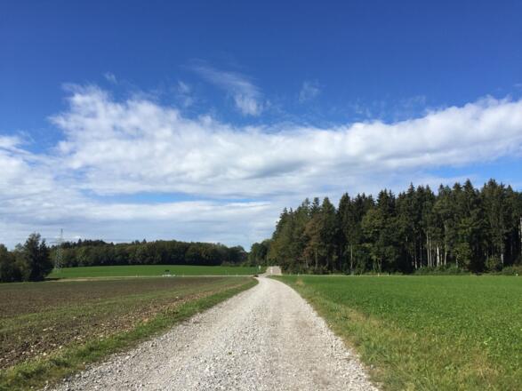 Einziges Schotterstück von Monatshausen Richtung Gut Kerschlach