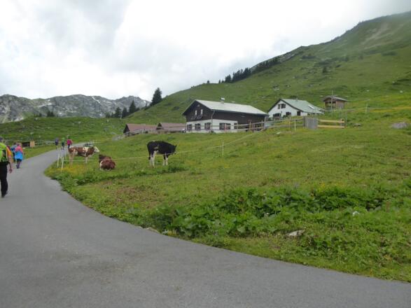 Formarin-Alpe