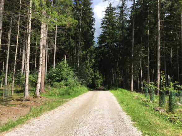 Sittenbach Richtung Langengern