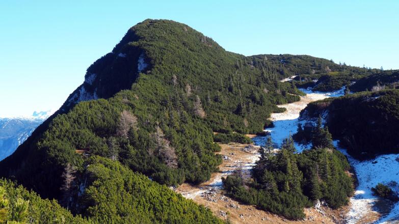 Schwarzkogel vom Felleck