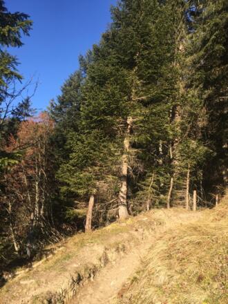 Strahlender Sonnenschein über dem Wolkenmeer