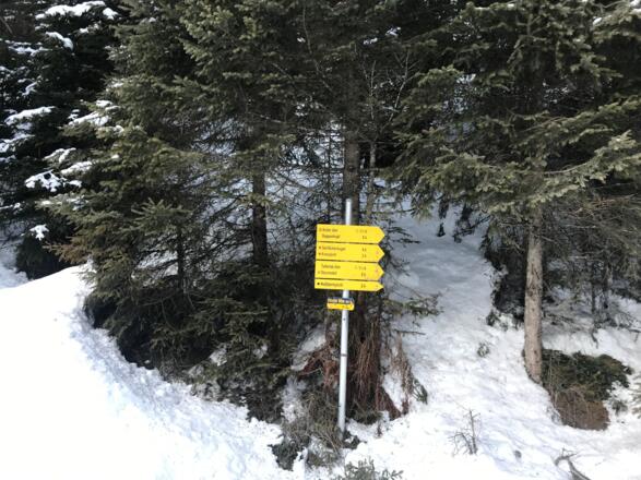 Orografisch links von der Pitztaler Ache Wegweiser zur Arzler Alm
