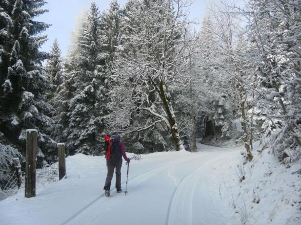 Almweg Rettenebenalm