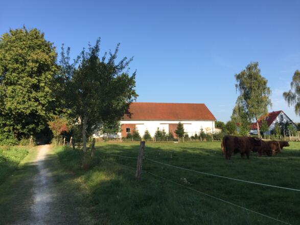 In Ebersbach (kurz schmaler Weg)