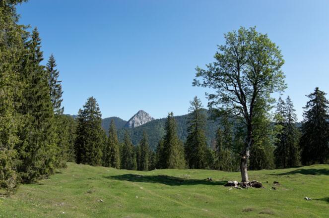 Ausblick zum Leonhardstein