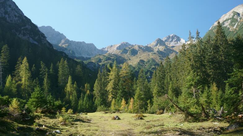 Kälbertal - im Hintergrund rechts Roter Stein