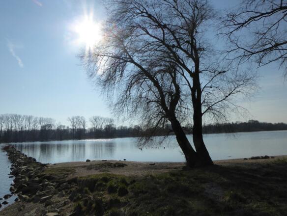 Sonne über der Donau