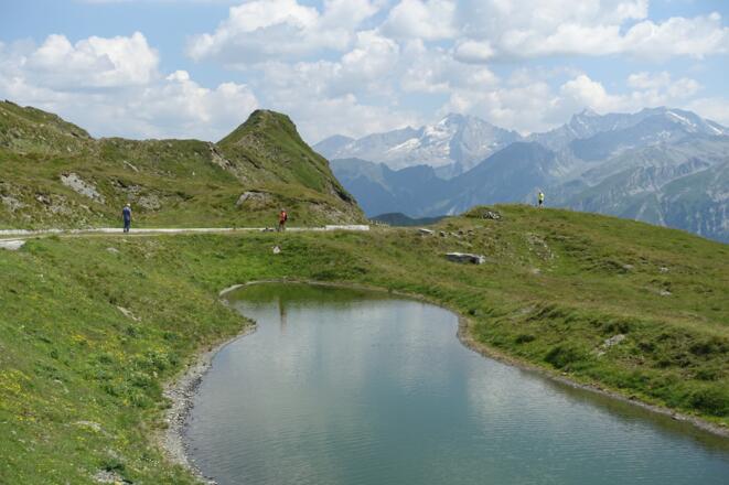 Auf der Grenzkammstraße