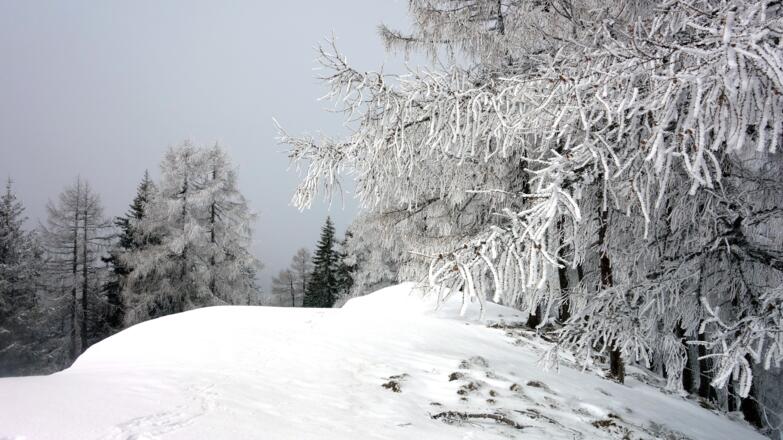Gratabstieg Richtung Wurzerkampl, rechts halten