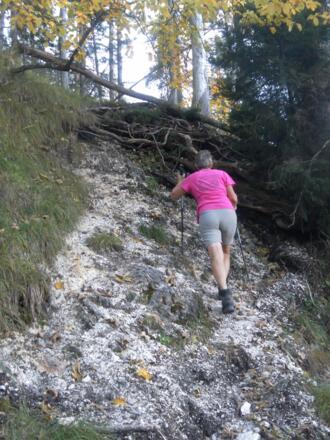 kurze Schrofenstufen