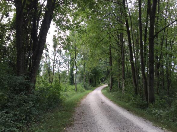 14 km nach München