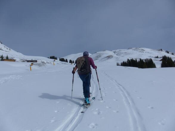 Mulde zur Hochalmspitze