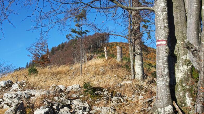 Vereinzelte Markierungen