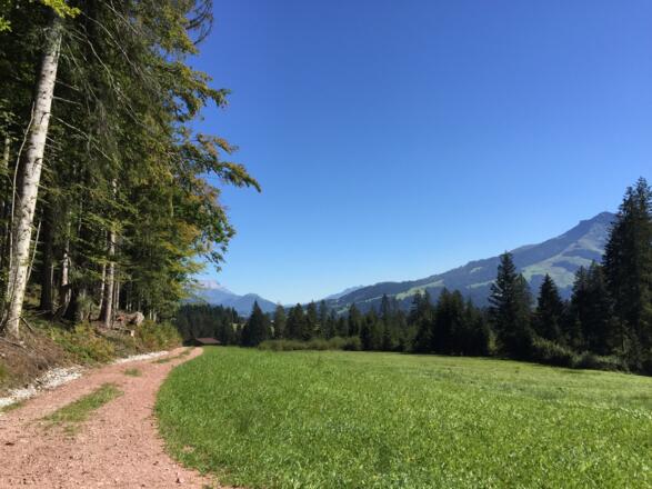 Blick vom Vierstadlweg
