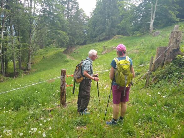 Vor dem nächsten Hindernis