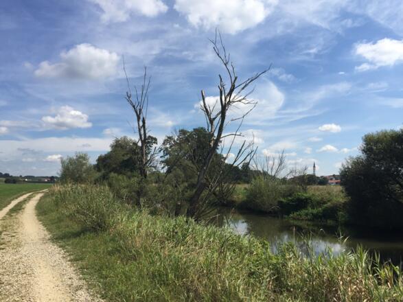 Entlang der Glonn Herschenhofen - Hohenkammer