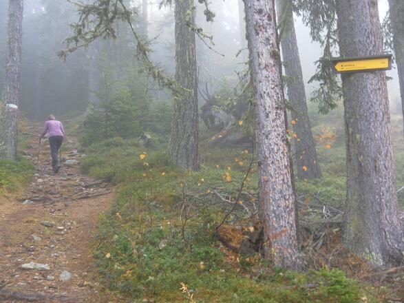 Wanderweg