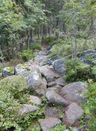 steinige Pfade am Goldsteig