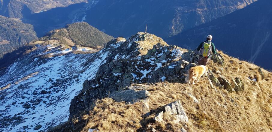 Rücken zwischen 2400m und Gipfel
