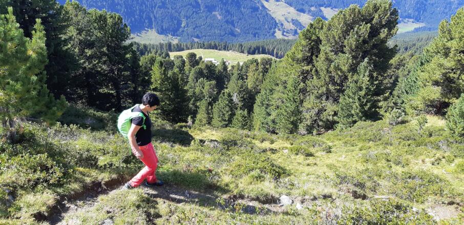 Oberhalb der Markisalm.