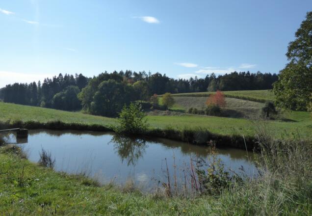 Kurz nach Hagnzell