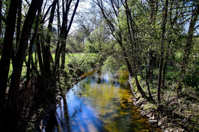 über die Schwarzach