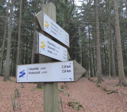 Bei Hirschberg geht es über den Goldsteigzubringer nach Falkenfels