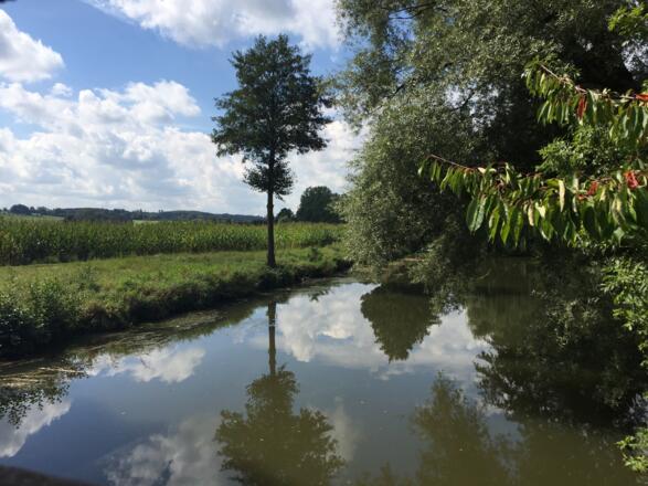 Die Glonn bei Schlips