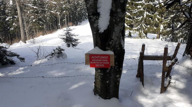 Zaundurchgang ~970m zum Plateau