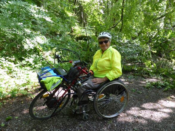 Hier drehen wir um, da uns der Baum den Weg versperrt.